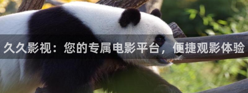 奇米在线播放视频：久久影视：您的专属电影平台，便捷观影体验