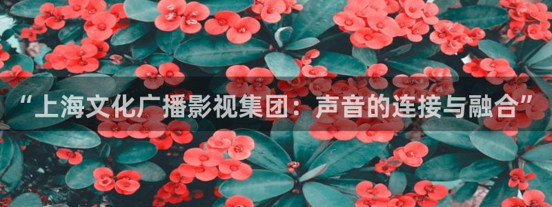奇米在线视频：“上海文化广播影视集团：声音的连接与融合”