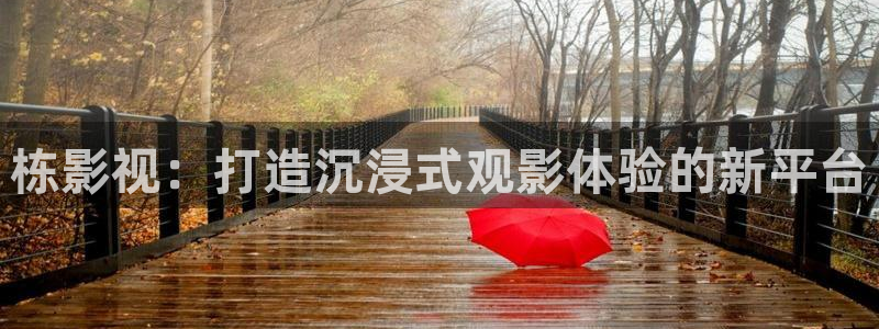 奇米在线影视：栋影视：打造沉浸式观影体验的新平台